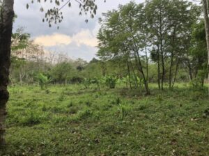 Land for sale – Phuket