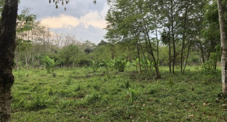 Land for sale – Phuket