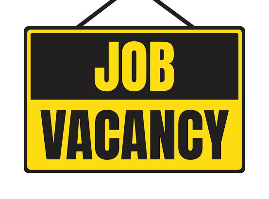 ผู้ช่วยด้านไอทีและงานก่อสร้าง