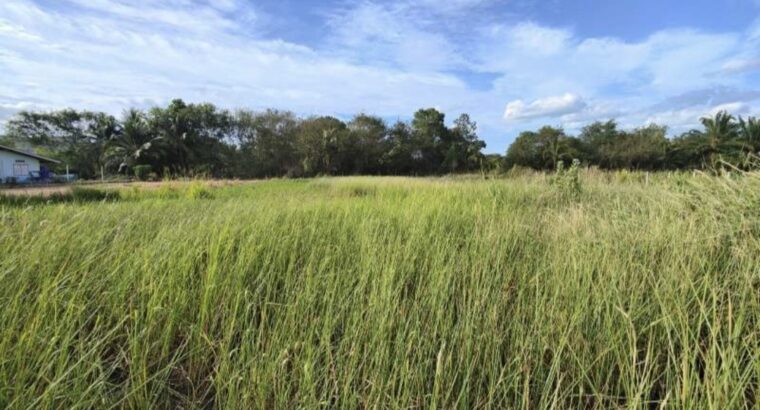 ที่ดินสำหรับขาย – หัวหิน