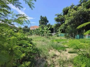 ที่ดินเปล่าสำหรับสร้างบ้านขาย