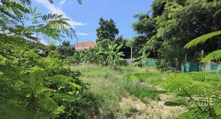 ที่ดินเปล่าสำหรับสร้างบ้านขาย