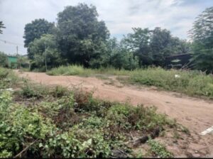 Land for Sale Pattays